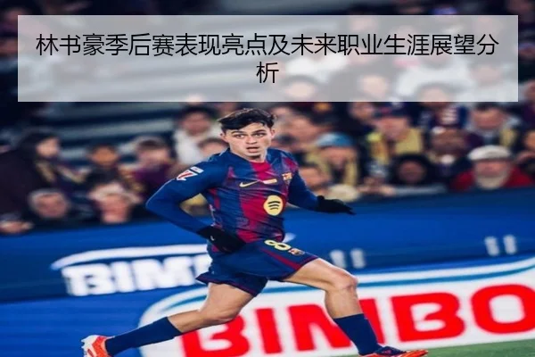 林书豪季后赛表现亮点及未来职业生涯展望分析